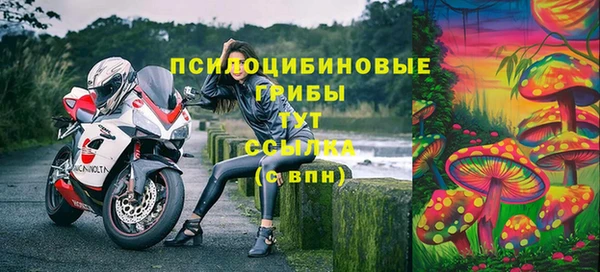 a pvp Алзамай
