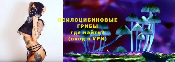 a pvp Алзамай