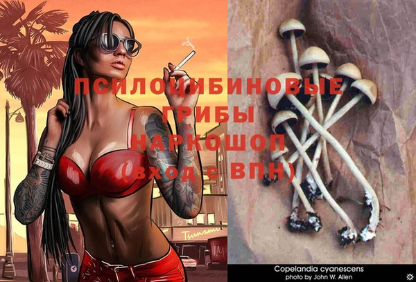 бутират Сафоново