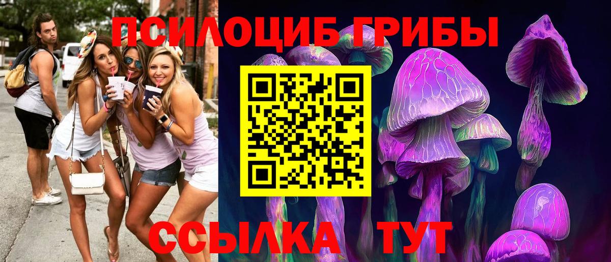 Галлюциногенные грибы прущие грибы  Вход с VPN  Добрянка 